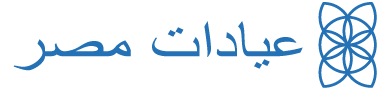عيادة مصر  misr clinic Logo